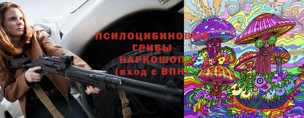 шишки Нея