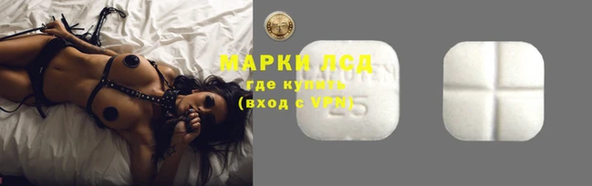 кокс Аркадак